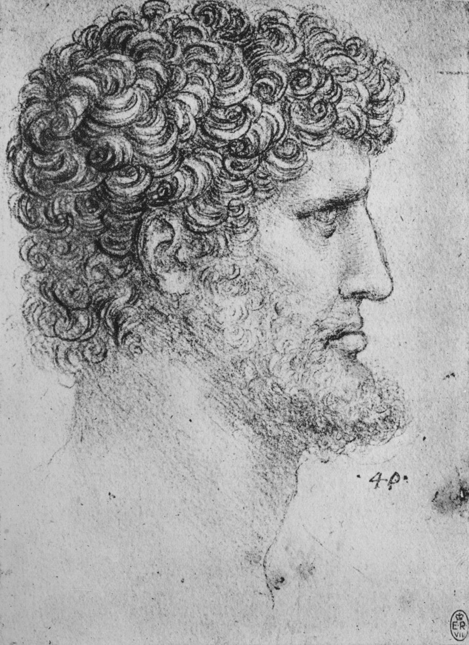 Profil po prawej stronie brodatego mężczyzny, c1480 1945 autorstwa Leonardo da Vinci