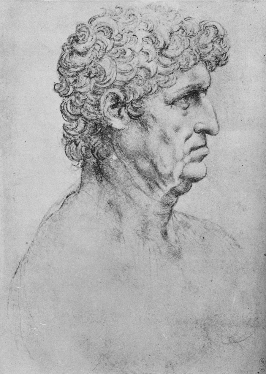 Profil po prawej stronie starszego mężczyzny, c1480 1945 autorstwa Leonardo da Vinci