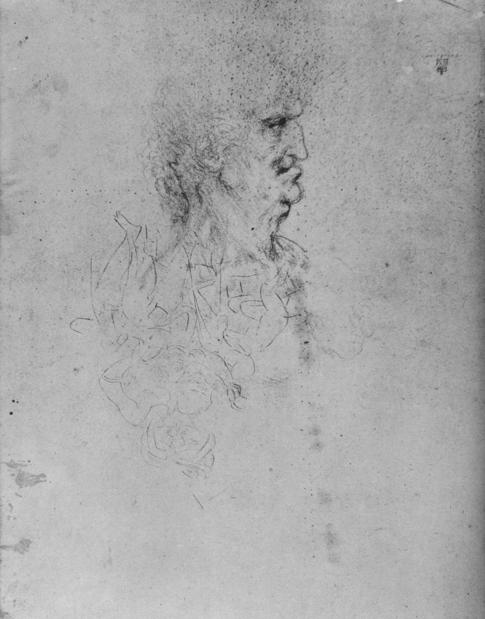 Profil po prawej stronie starego człowieka, c1480 1945 autorstwa Leonardo da Vinci