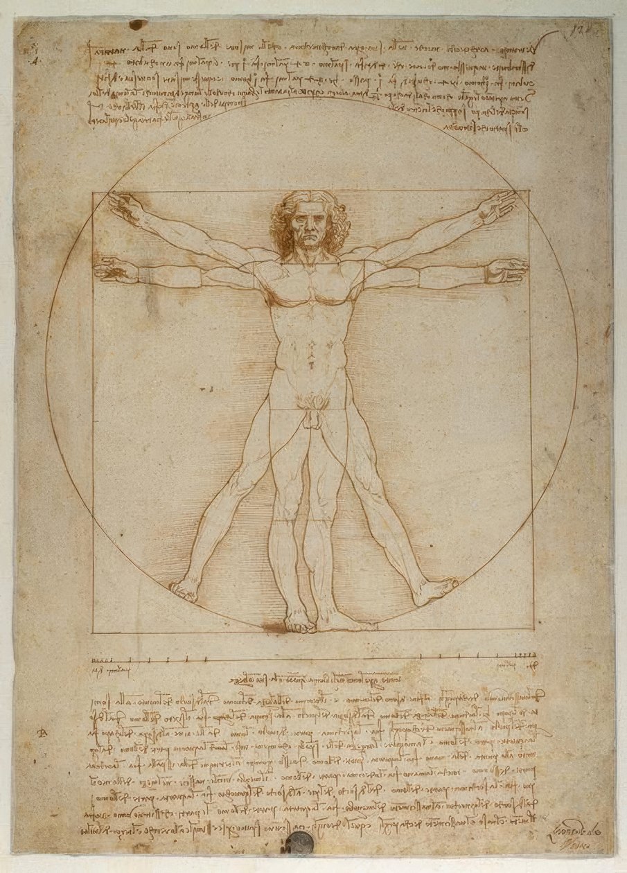Schemat proporcji sylwetki ludzkiej według Witruwiusza autorstwa Leonardo da Vinci