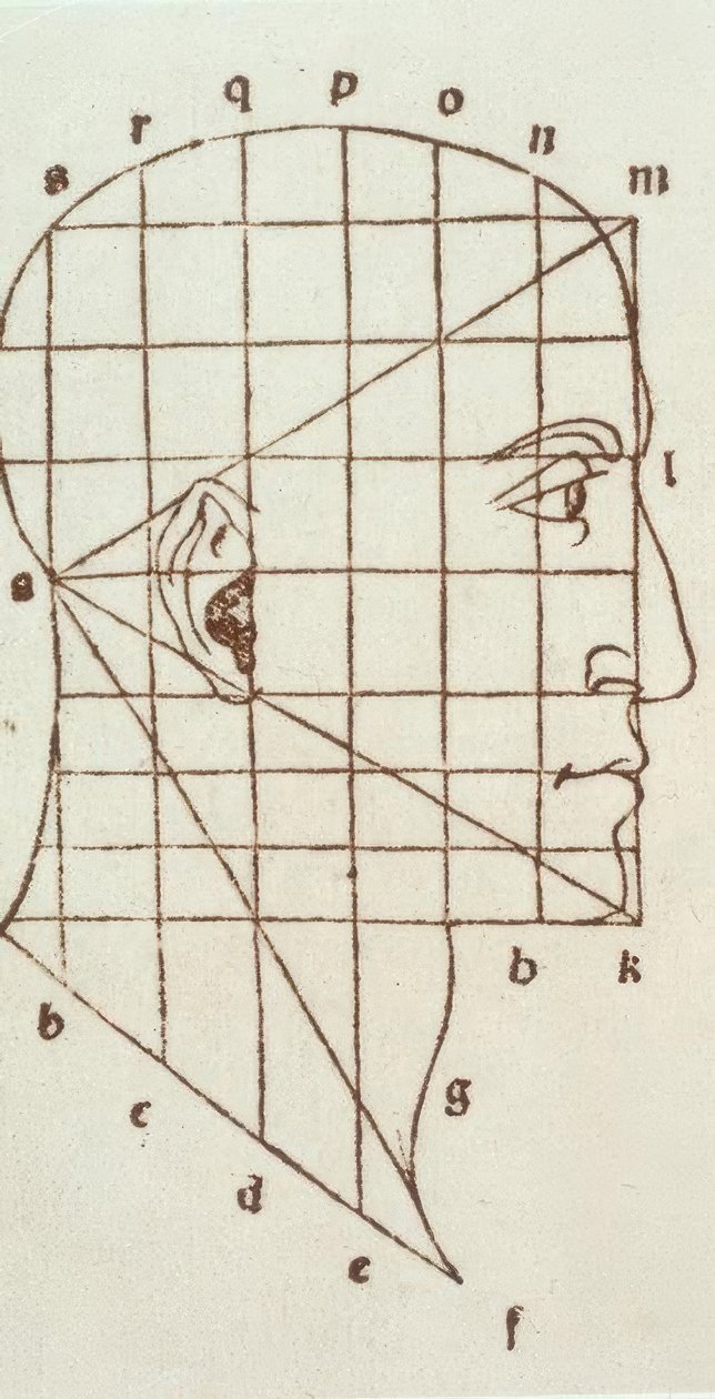 Badanie proporcji głowy ludzkiej autorstwa Leonardo da Vinci