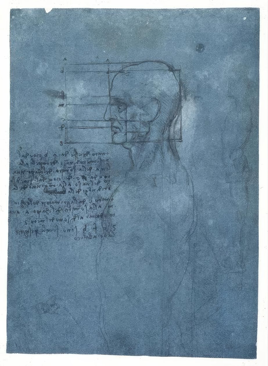 Studium proporcji głowy mężczyzny z profilu autorstwa Leonardo da Vinci