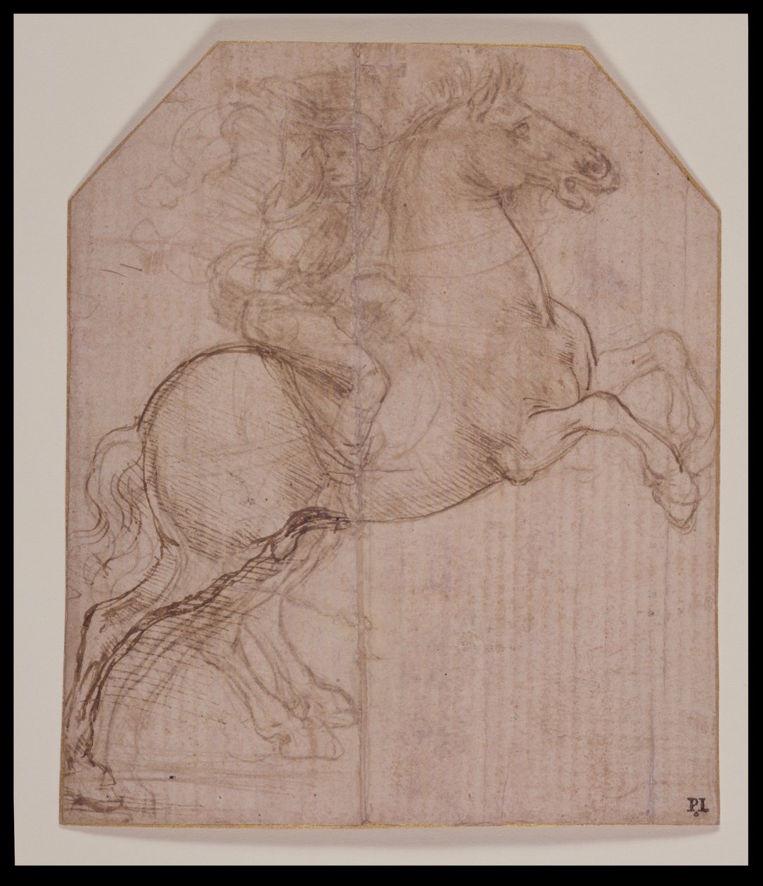 Jeździec na koniu hodowlanym, ok.1481-82 (silverpoint, długopis i brązowy tusz na przygotowanym papierze) autorstwa Leonardo da Vinci