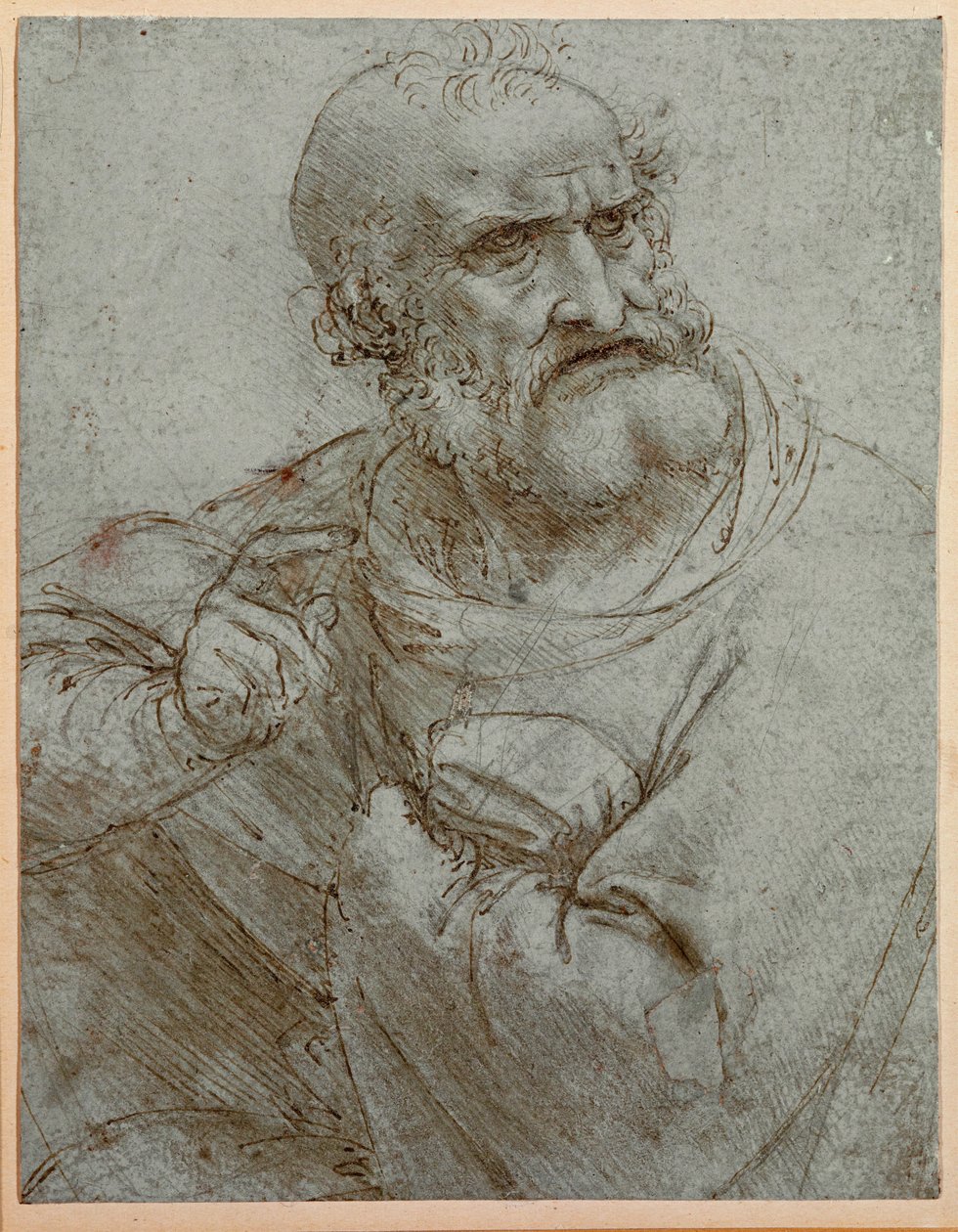  autorstwa Leonardo da Vinci