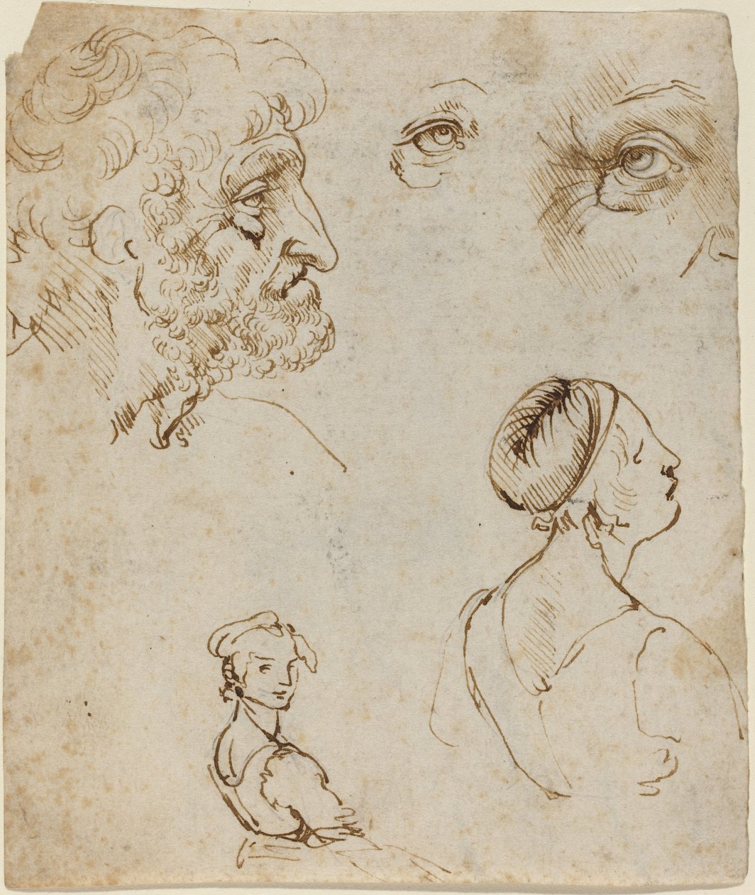 Arkusz studiów [recto] autorstwa Leonardo da Vinci