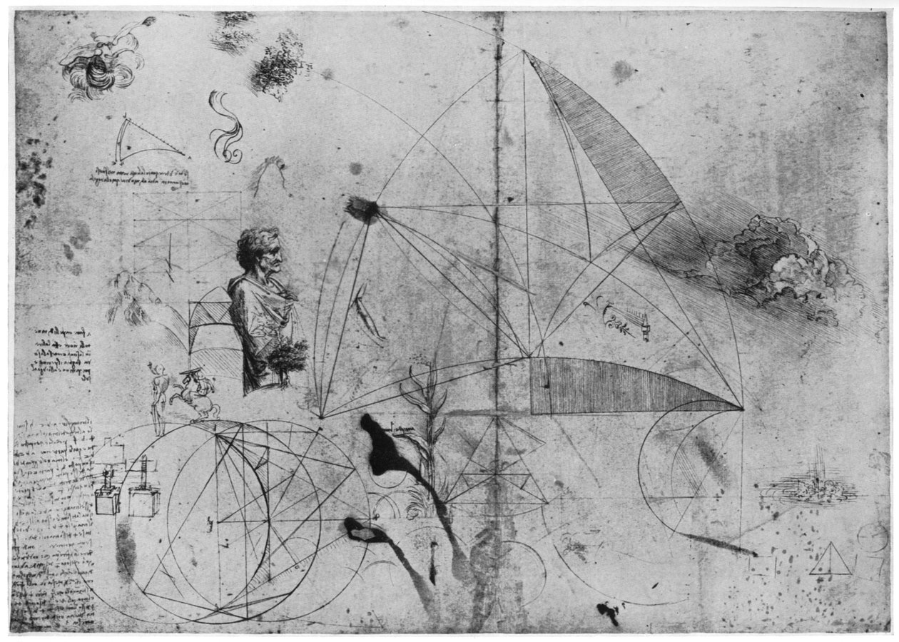 Arkusz studiów, koniec XV lub początek XVI w. 1954. autorstwa Leonardo da Vinci