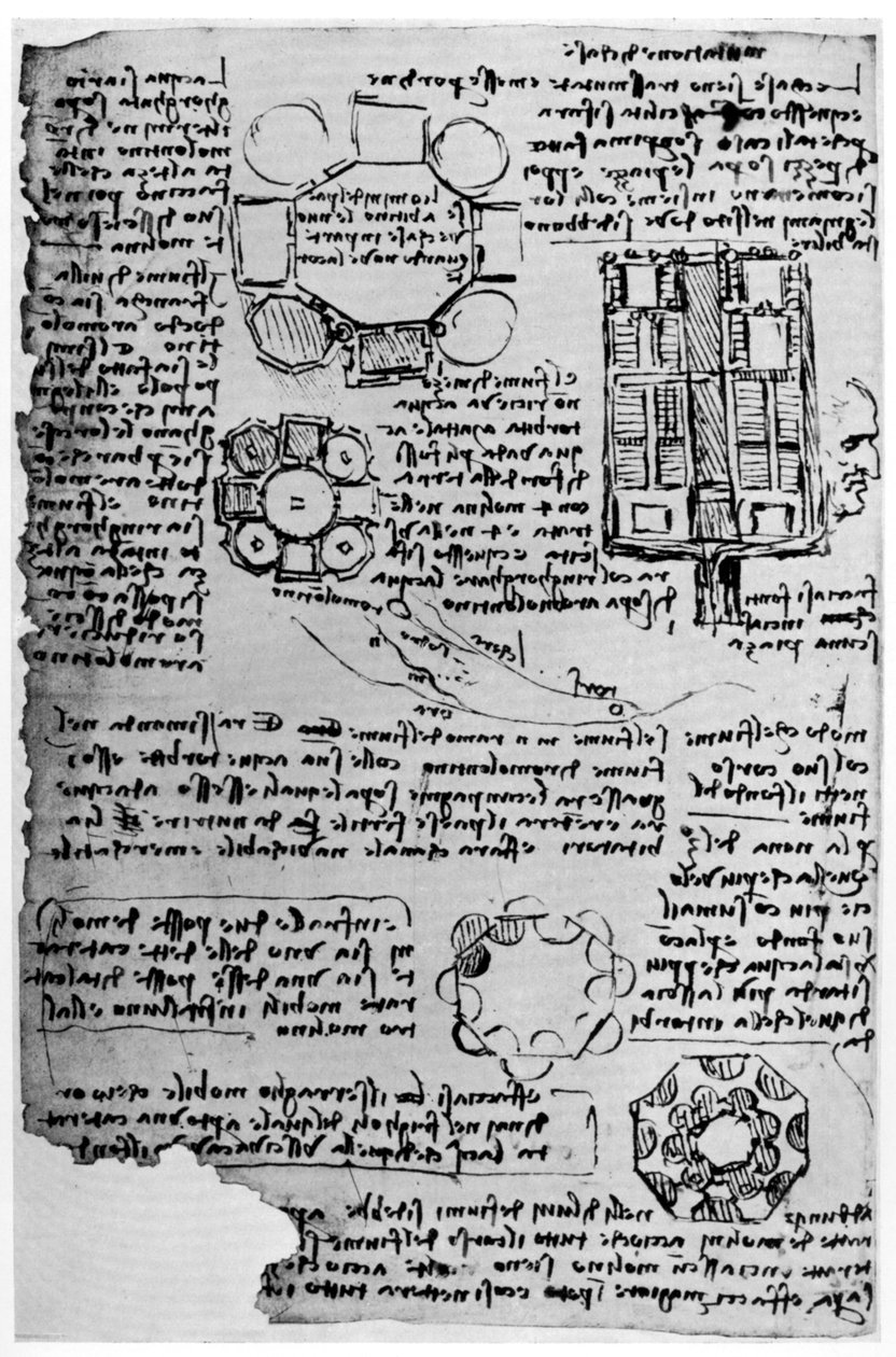 Szkic do zamku Romorantin, 1517-1518 1954. autorstwa Leonardo da Vinci