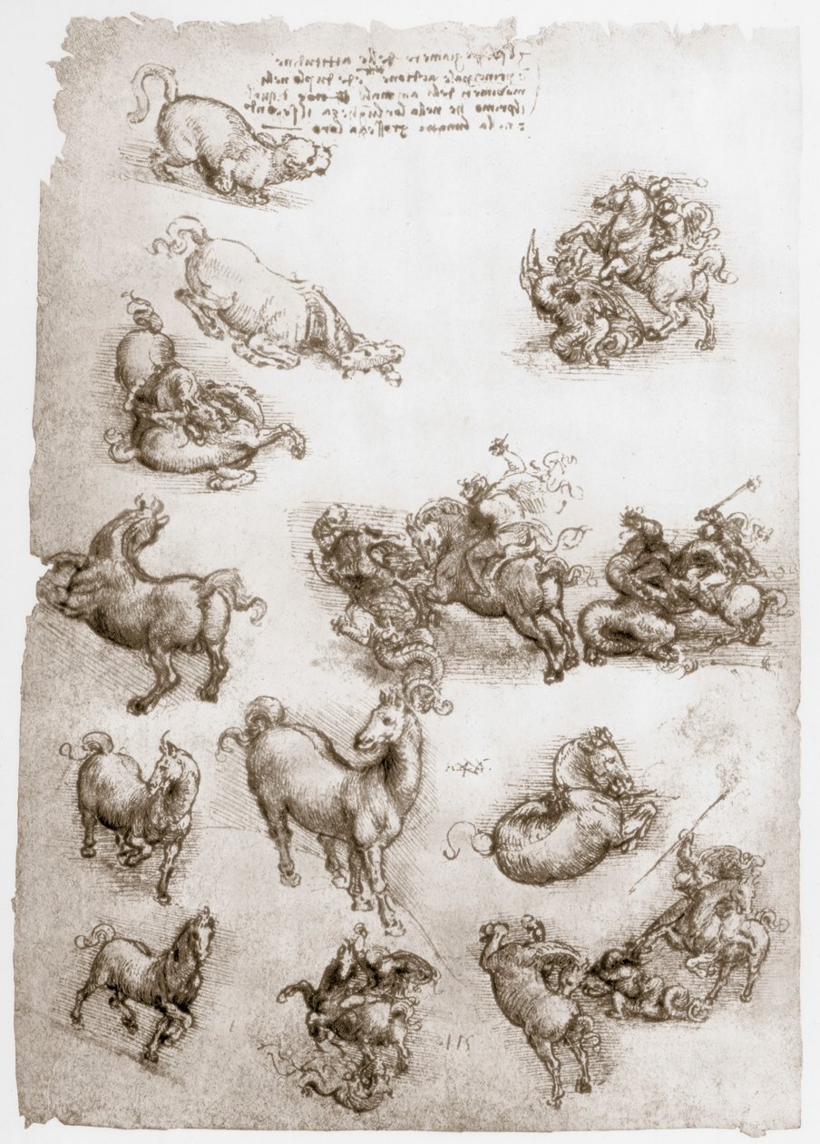 Św. Jerzy i smok, ok. 1506 r. autorstwa Leonardo da Vinci