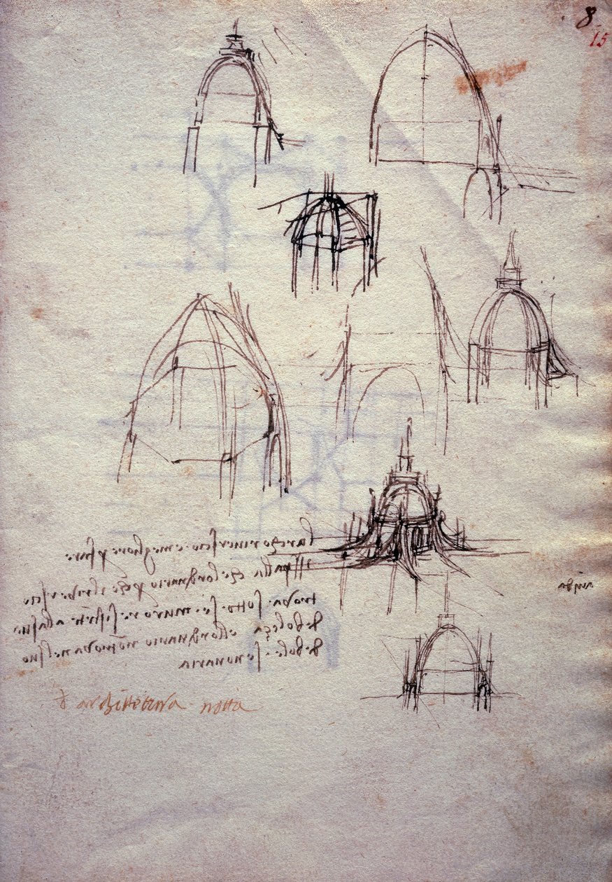 polish autorstwa Leonardo da Vinci