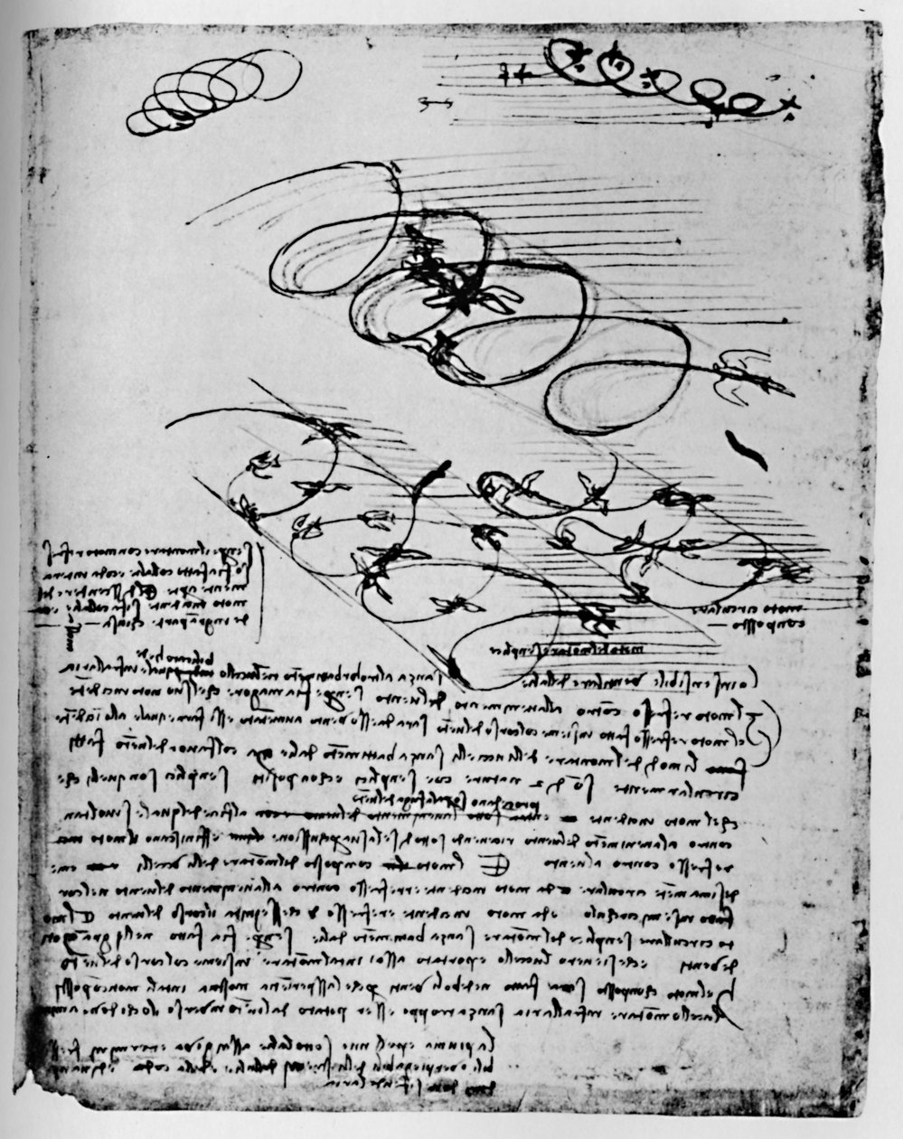 Badania ptaków w locie, gdy wschodzą i krążą, 1928 autorstwa Leonardo da Vinci