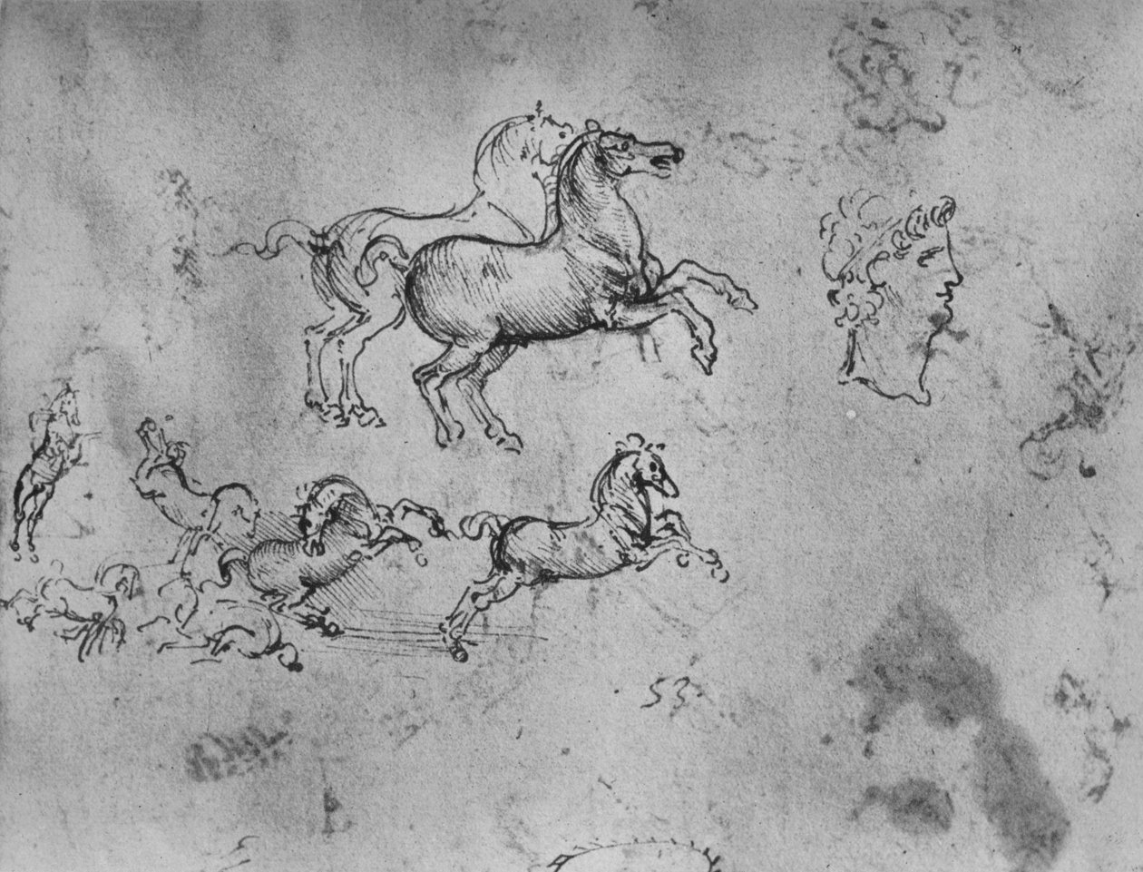Badania galopujących koni i głowy, ok. 1480 1945 r autorstwa Leonardo da Vinci