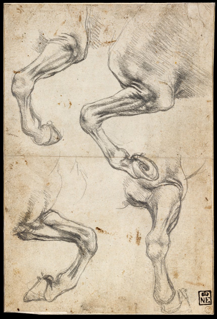Badania nad końmi Leg autorstwa Leonardo da Vinci