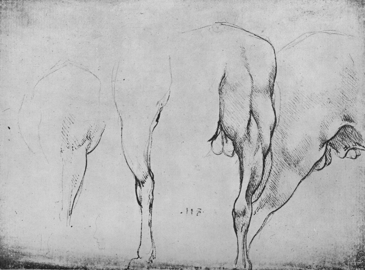 Badania nóg koni, ok. 1480 1945 r autorstwa Leonardo da Vinci