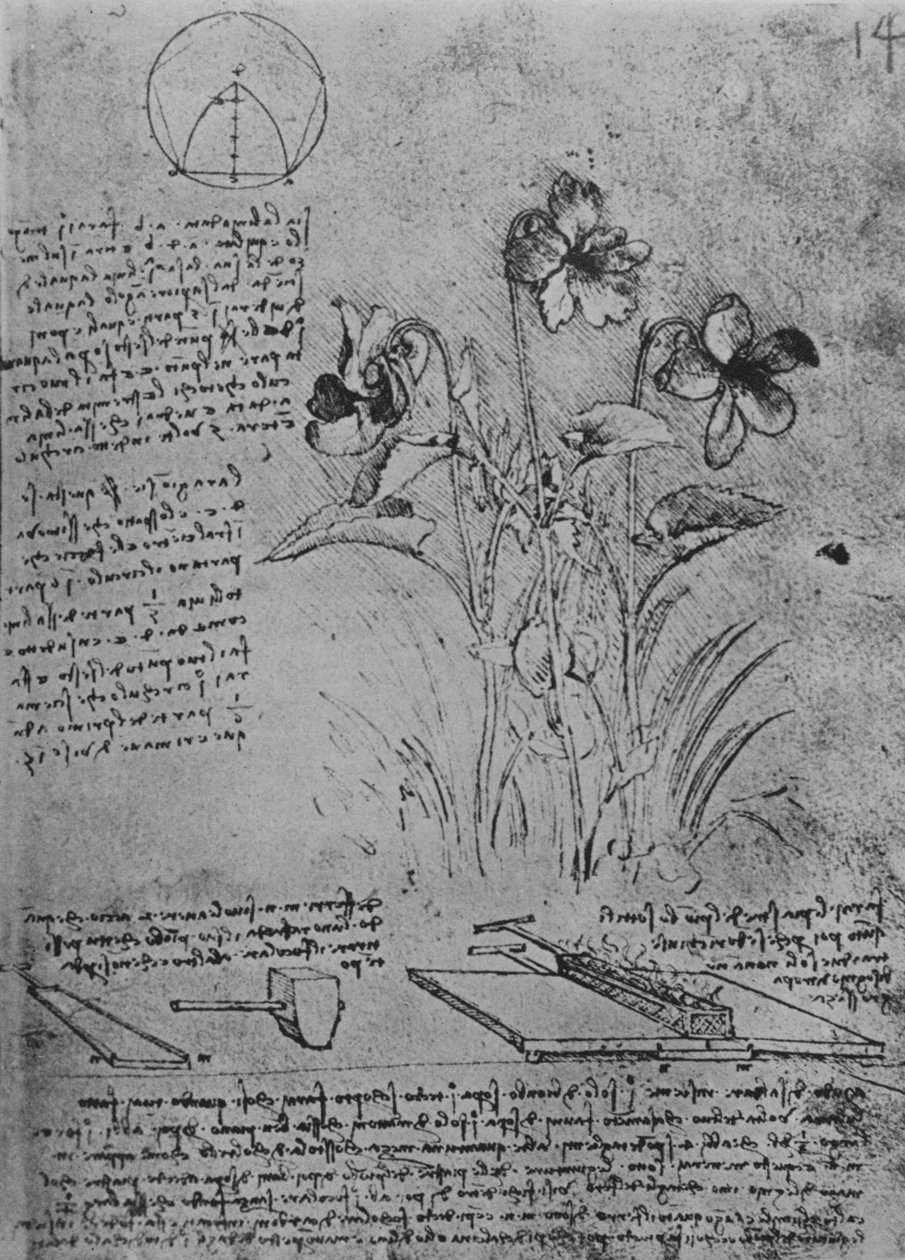 Studia nad altówkami i metodami lutowania ołowianych dachów, ok. 1480 1945 r autorstwa Leonardo da Vinci