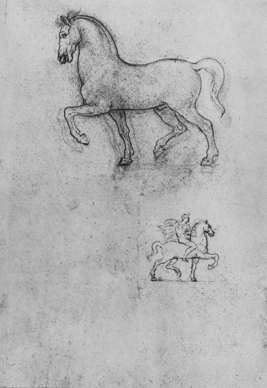 Studia konia i jednego konia i jeźdźca, ok. 1480 1945 r autorstwa Leonardo da Vinci
