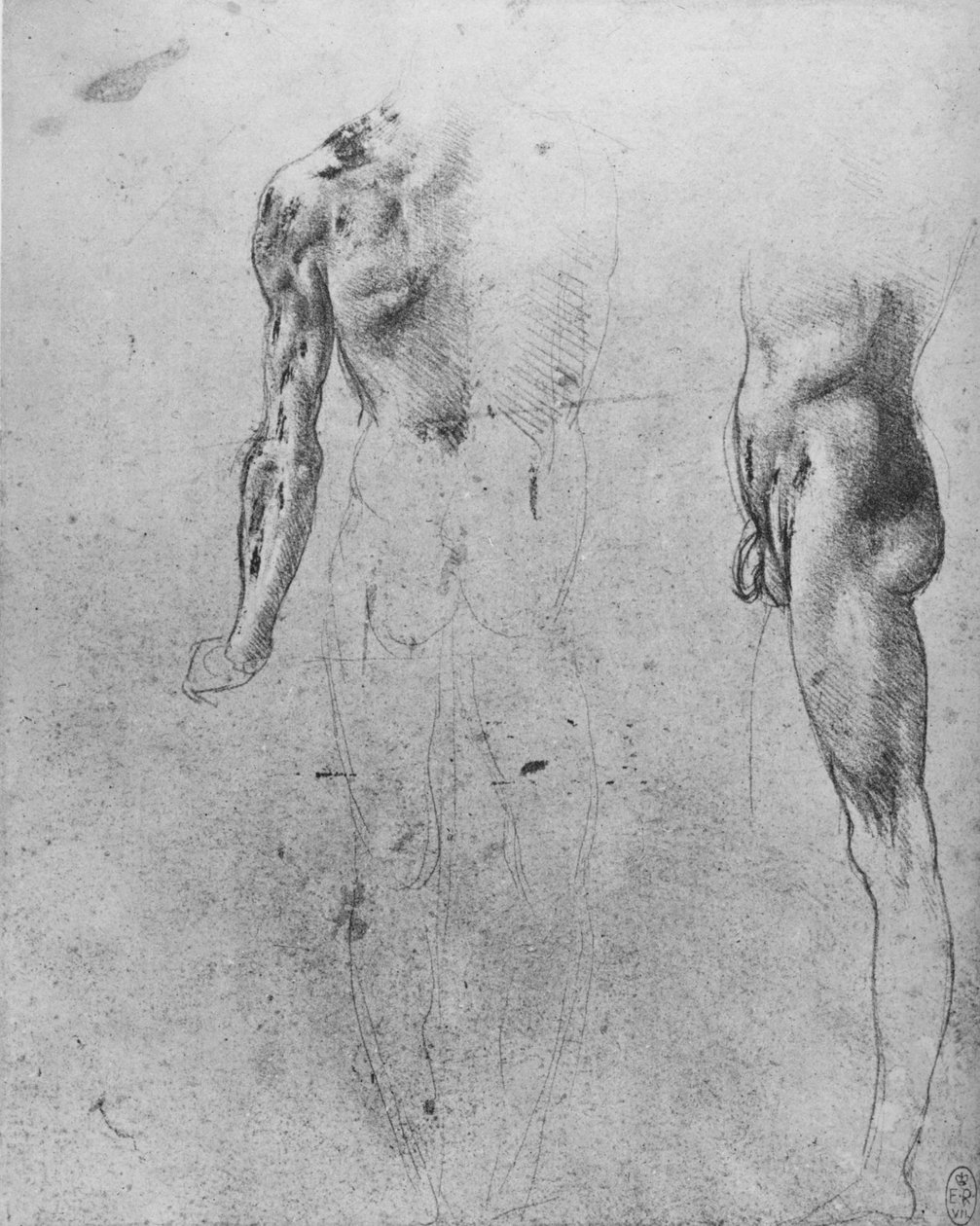 Studia nagiego mężczyzny widzianego z tyłu iz boku, ok. 1480 1945 r autorstwa Leonardo da Vinci
