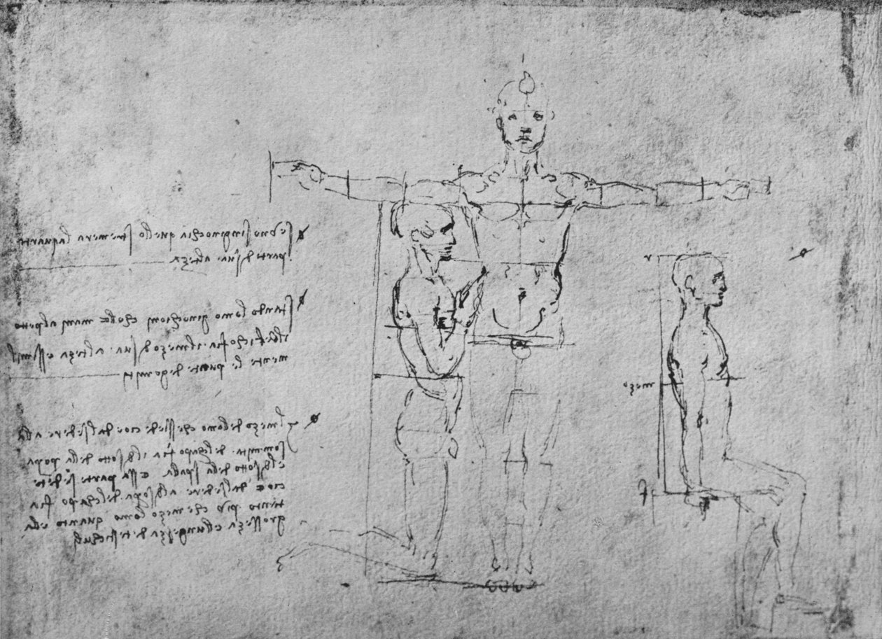 Studia proporcji trzech figur, ok. 1480 1945 r autorstwa Leonardo da Vinci