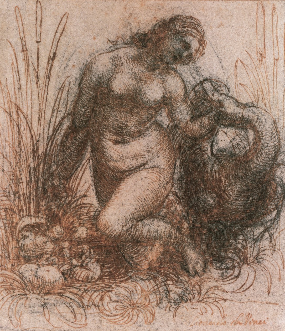 Studium Ledy i łabędzia Leonarda da Vinci (1452-1519), rysunek autorstwa Leonardo da Vinci