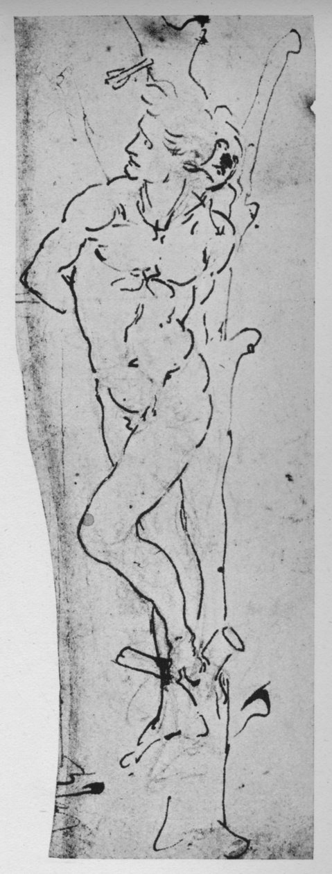 Studium dla św. Sebastiana, ok. 1480 1945 r. autorstwa Leonardo da Vinci