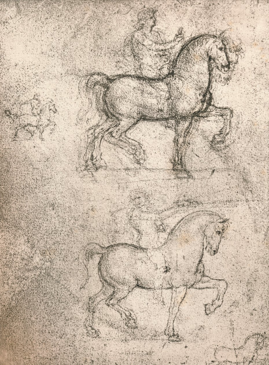 Studium do pomnika Sforzów, c1482-c1499 1883 autorstwa Leonardo da Vinci