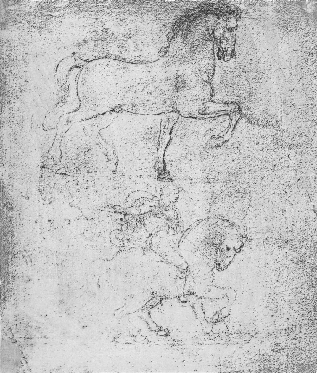Studium do pomnika Sforzów, c1482-c1499 1883 autorstwa Leonardo da Vinci