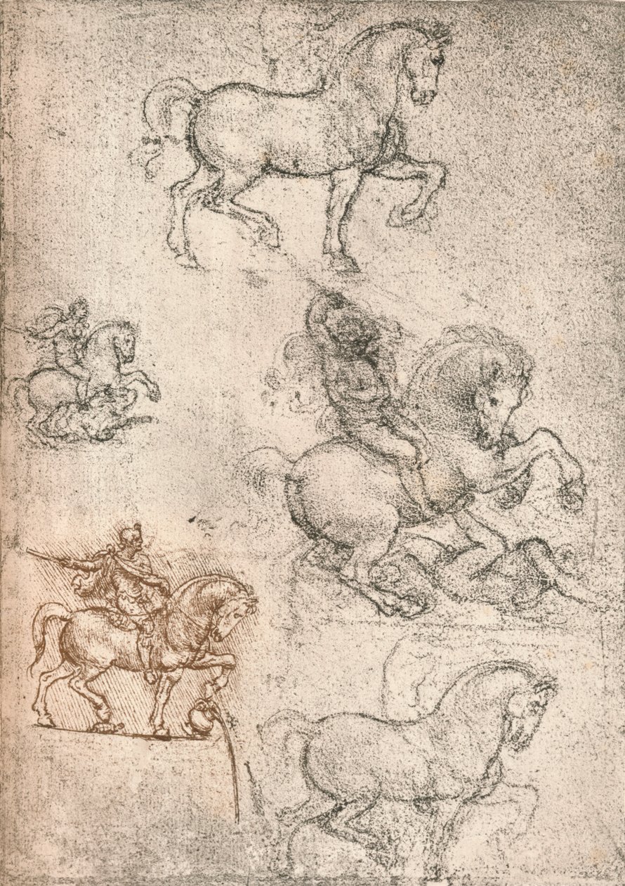 Studium do pomnika Sforzów, c1482-c1499 1883 autorstwa Leonardo da Vinci