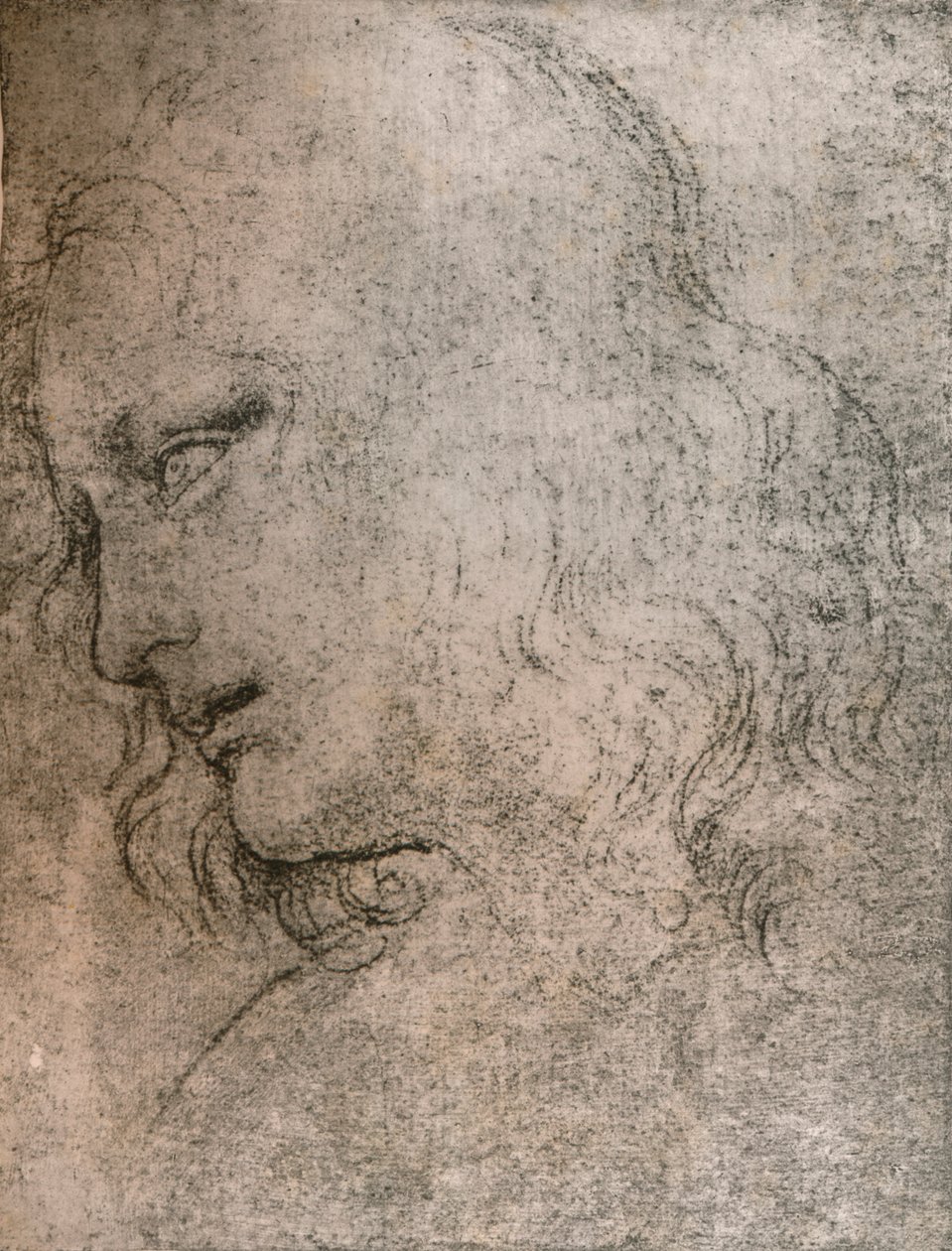 Studium dla głowy św. Filipa w „Ostatniej wieczerzy”, c1494-c1499 1883. autorstwa Leonardo da Vinci
