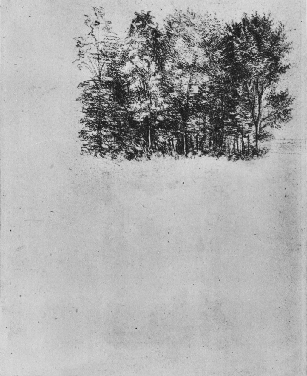 Studium zagajnika, ok. 1480 1945 r. autorstwa Leonardo da Vinci