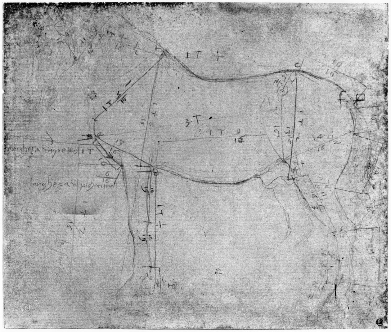 Studium konia (metalowy punkt na papierze) autorstwa Leonardo da Vinci
