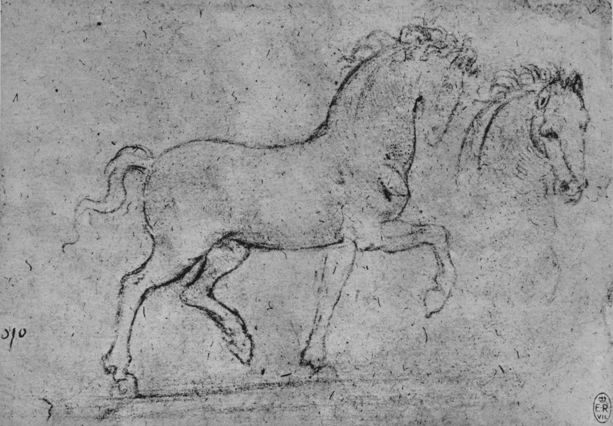 Studium konia i głowy konia, ok. 1480 1945 r. autorstwa Leonardo da Vinci