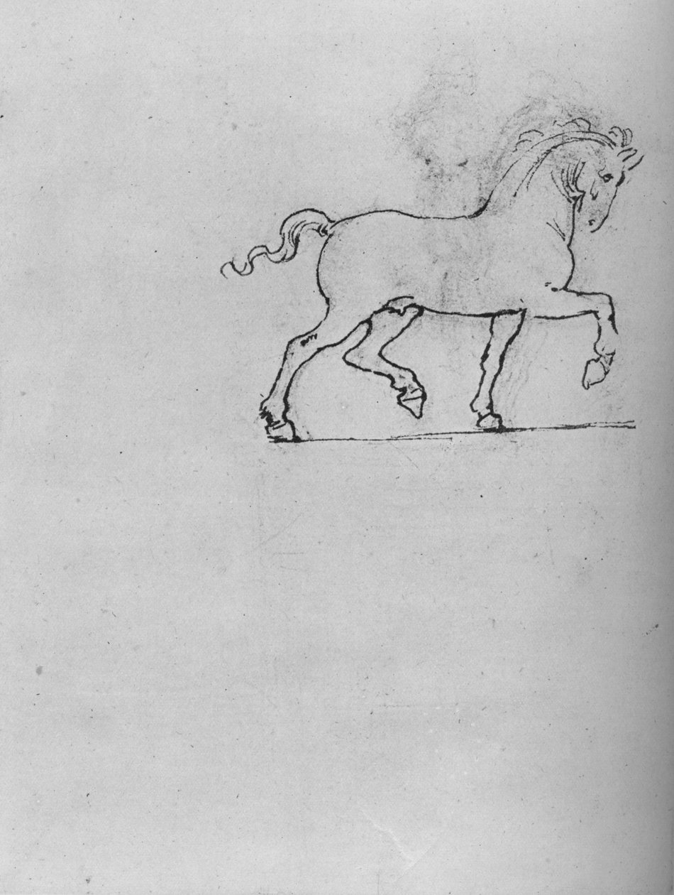 Studium konia, ok. 1480 1945 r autorstwa Leonardo da Vinci