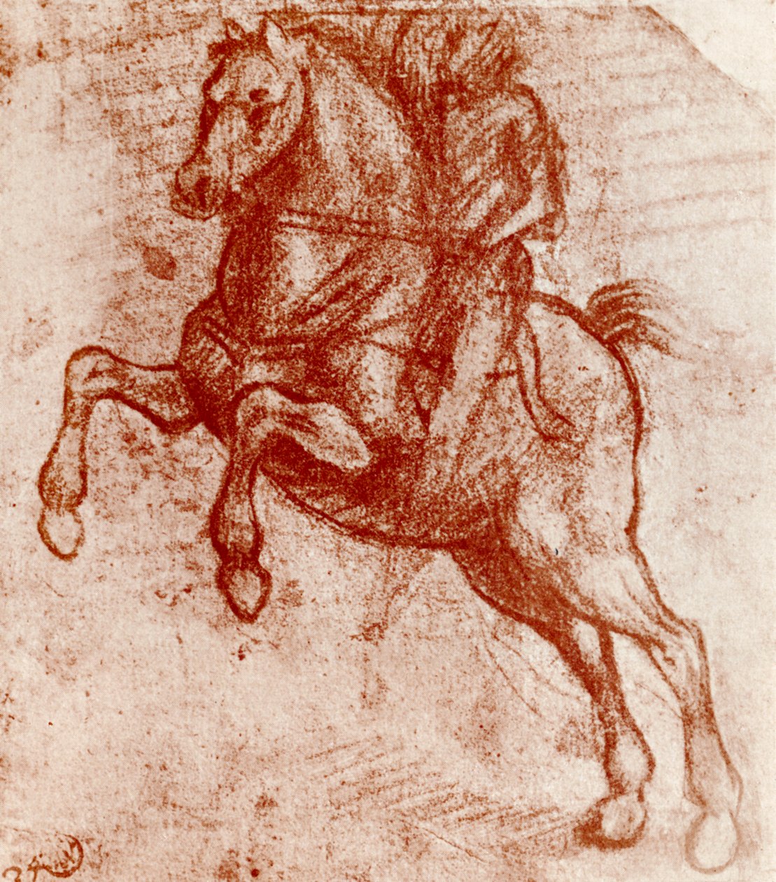 Studium rycerza, Leonardo De Vinci, 1913 autorstwa Leonardo da Vinci
