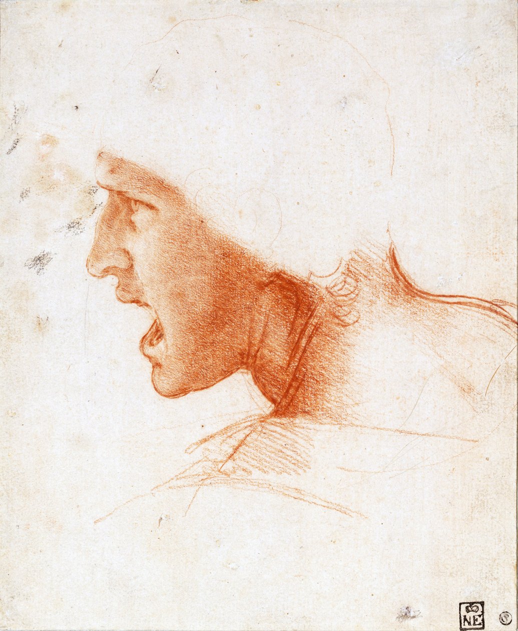 Studium głowy wojownika w bitwie pod Anghiari - Leonardo da Vinci (1452-1519) - 1504-1505 - Sangwina na papierze - 22,6x18,6 - Muzeum Szepmuveszeti, Budapeszt autorstwa Leonardo da Vinci