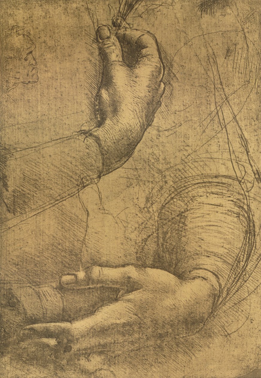 Studium rąk kobiecych, c1472-c1519 1883 autorstwa Leonardo da Vinci
