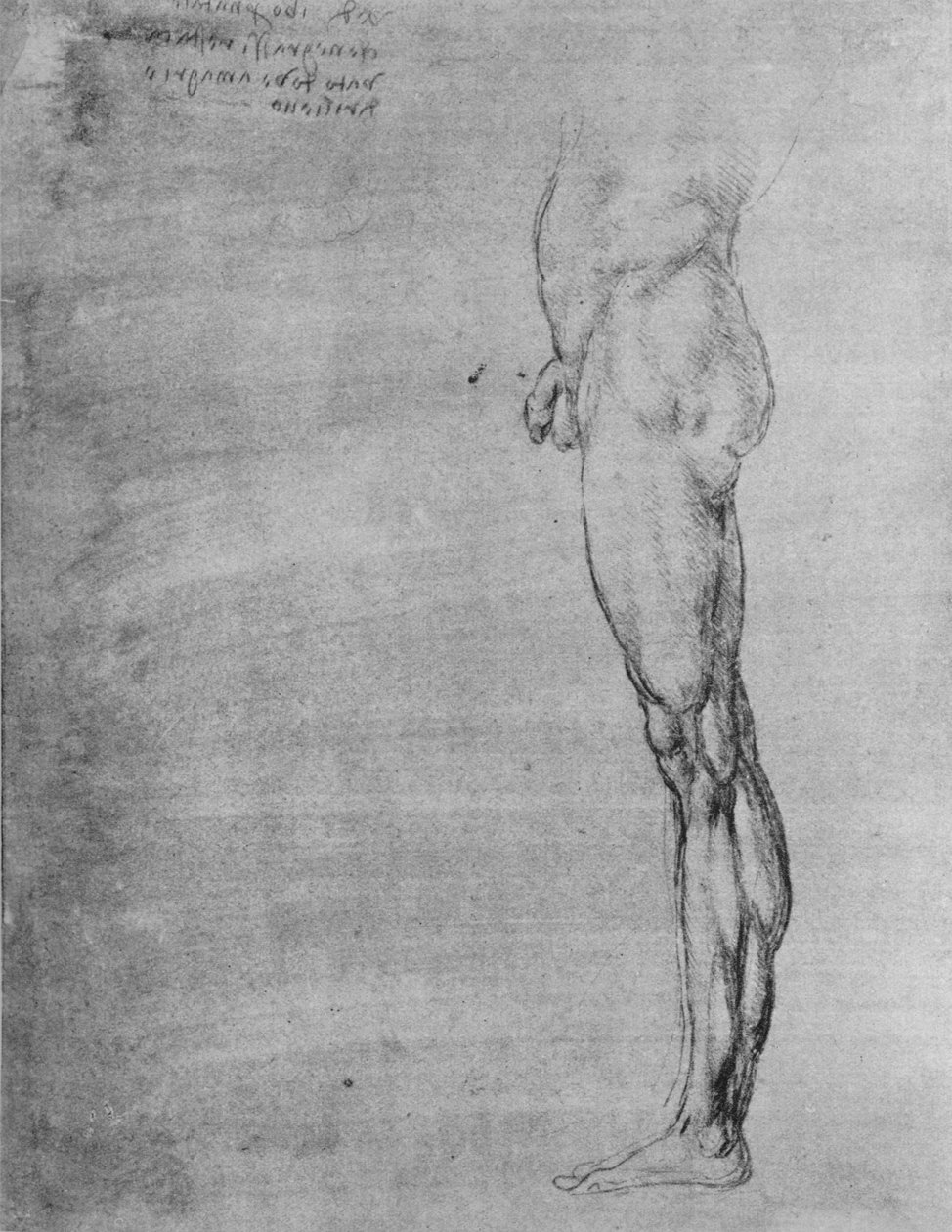 Studium ciała i nogi mężczyzny, ok. 1480 1945 r autorstwa Leonardo da Vinci