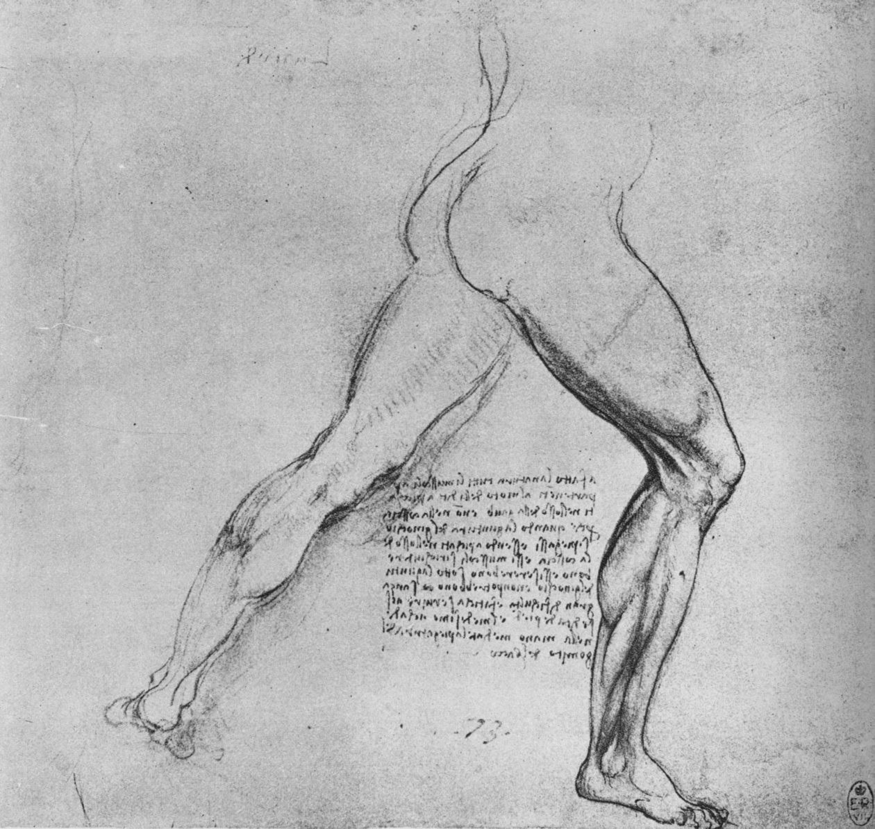 Studium nóg mężczyzny rzucającego się w prawo, ok. 1480 1945 r autorstwa Leonardo da Vinci