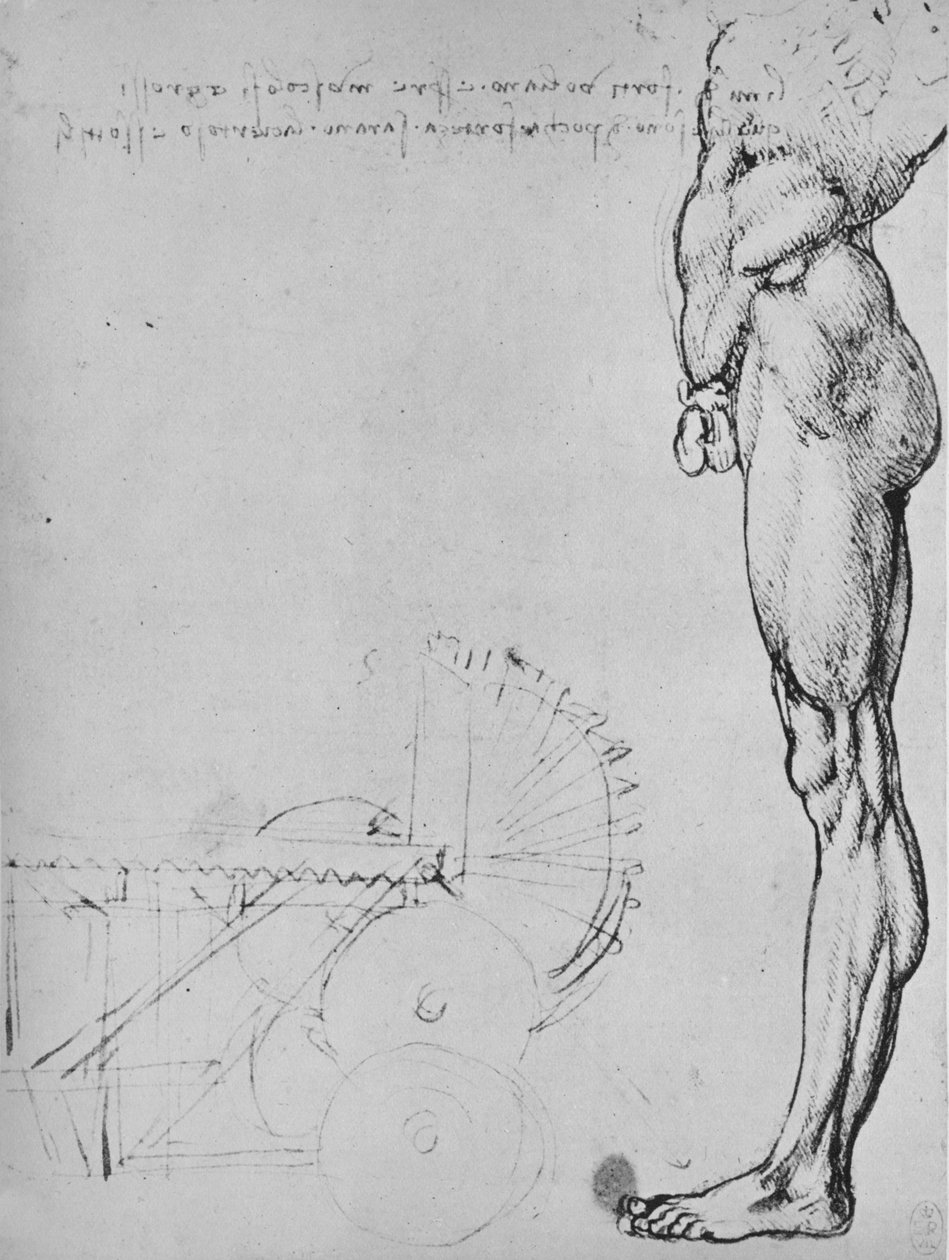 Studium dolnej połowy człowieka i maszyn, ok. 1480 1945 r autorstwa Leonardo da Vinci
