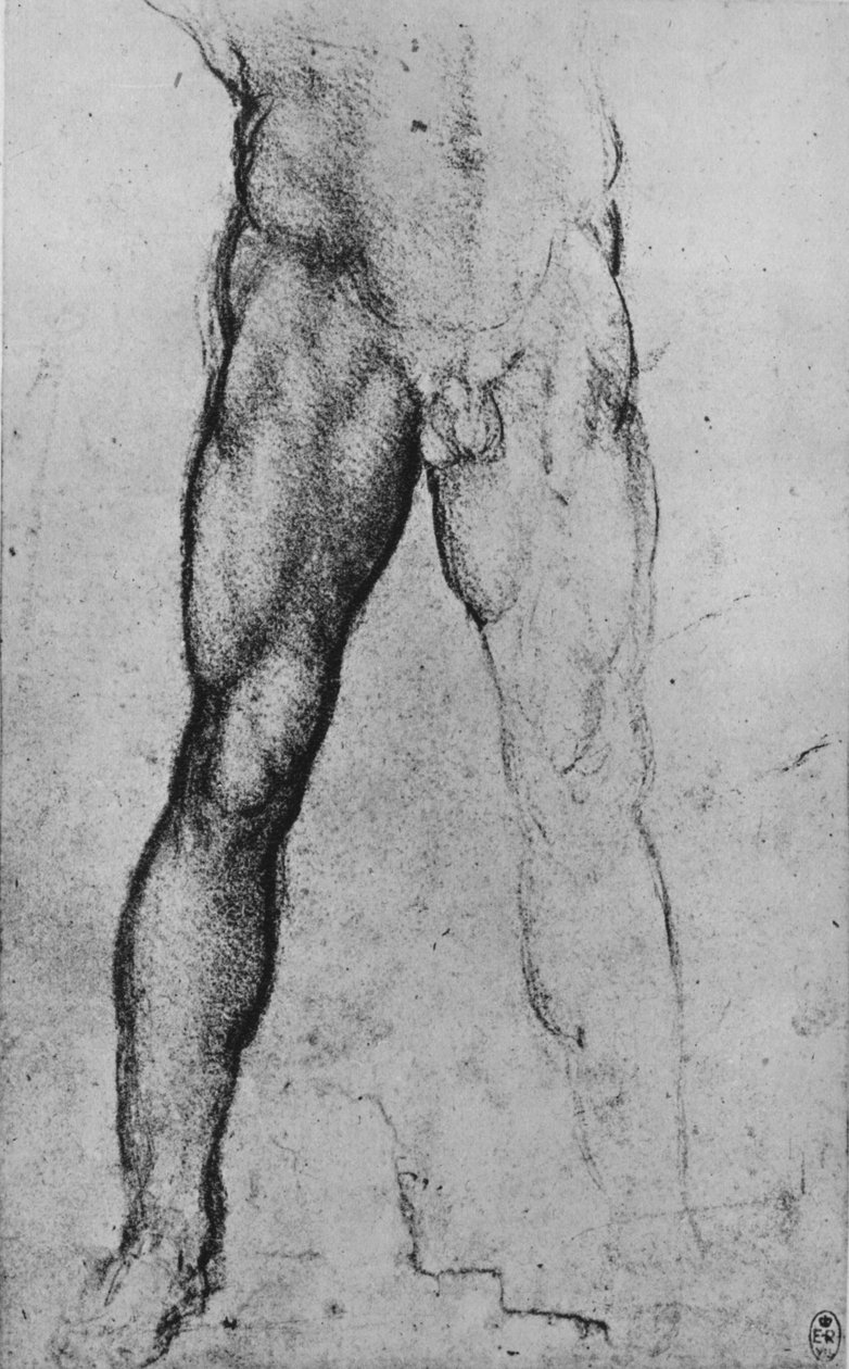 Studium dolnej połowy nagiego mężczyzny zwróconego do przodu, ok. 1480 1945 r autorstwa Leonardo da Vinci
