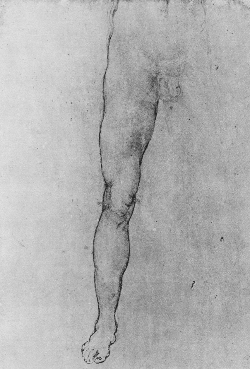 Studium dolnej połowy nagiego mężczyzny zwróconego do przodu, ok. 1480 1945 r. autorstwa Leonardo da Vinci