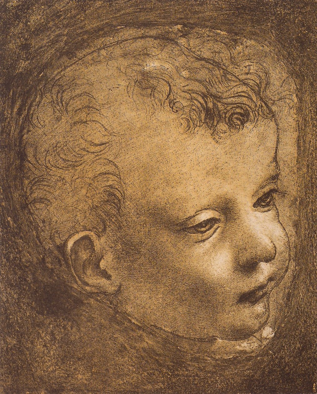 Studium twarzy niemowlęcia św. Jana dla Madonny na Skale; rysunek Leonarda da Vinci. Luwr, Paryż autorstwa Leonardo da Vinci