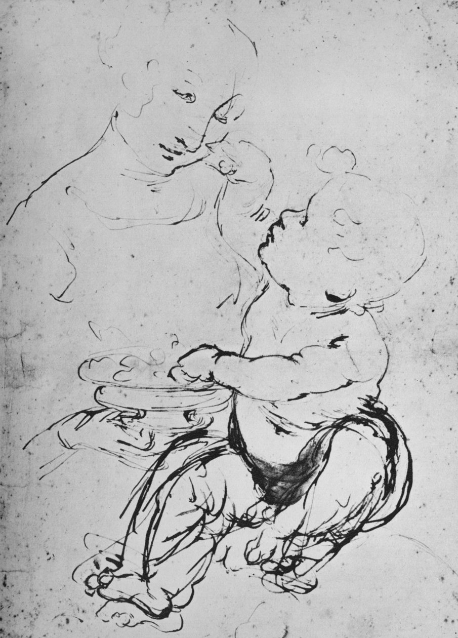 Madonna z Dzieciątkiem z Misą Owoców, 1478 1945 autorstwa Leonardo da Vinci