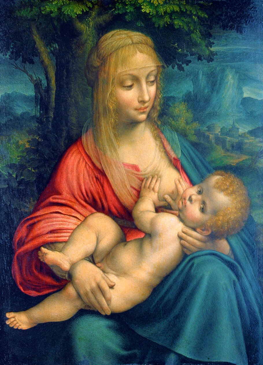 Dziewica z Dzieciątkiem, c1511 autorstwa Leonardo da Vinci