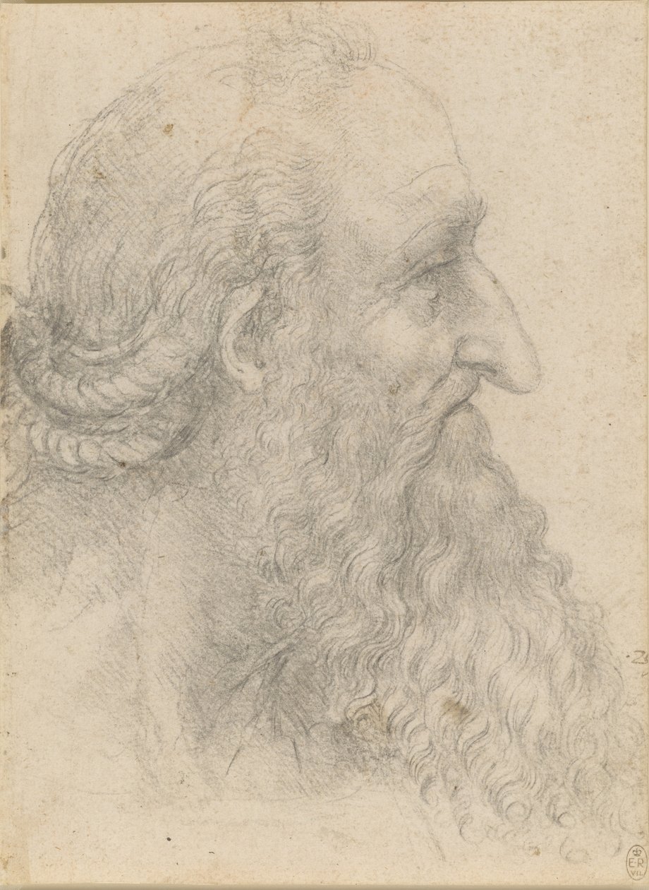 Głowa starego brodatego mężczyzny, ok. 1517 r. autorstwa Leonardo da Vinci