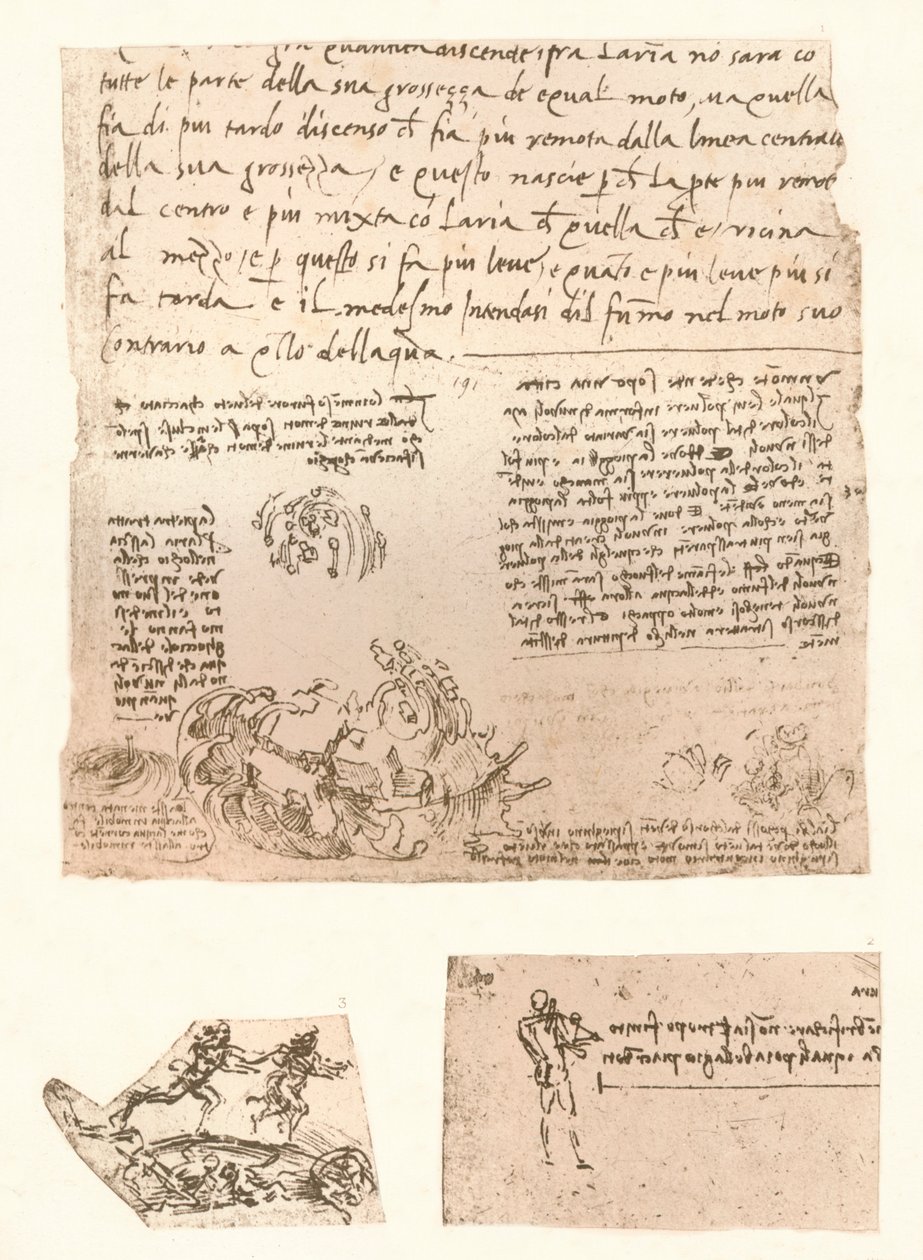 Trzy rysunki, c1472-c1519 1883 autorstwa Leonardo da Vinci