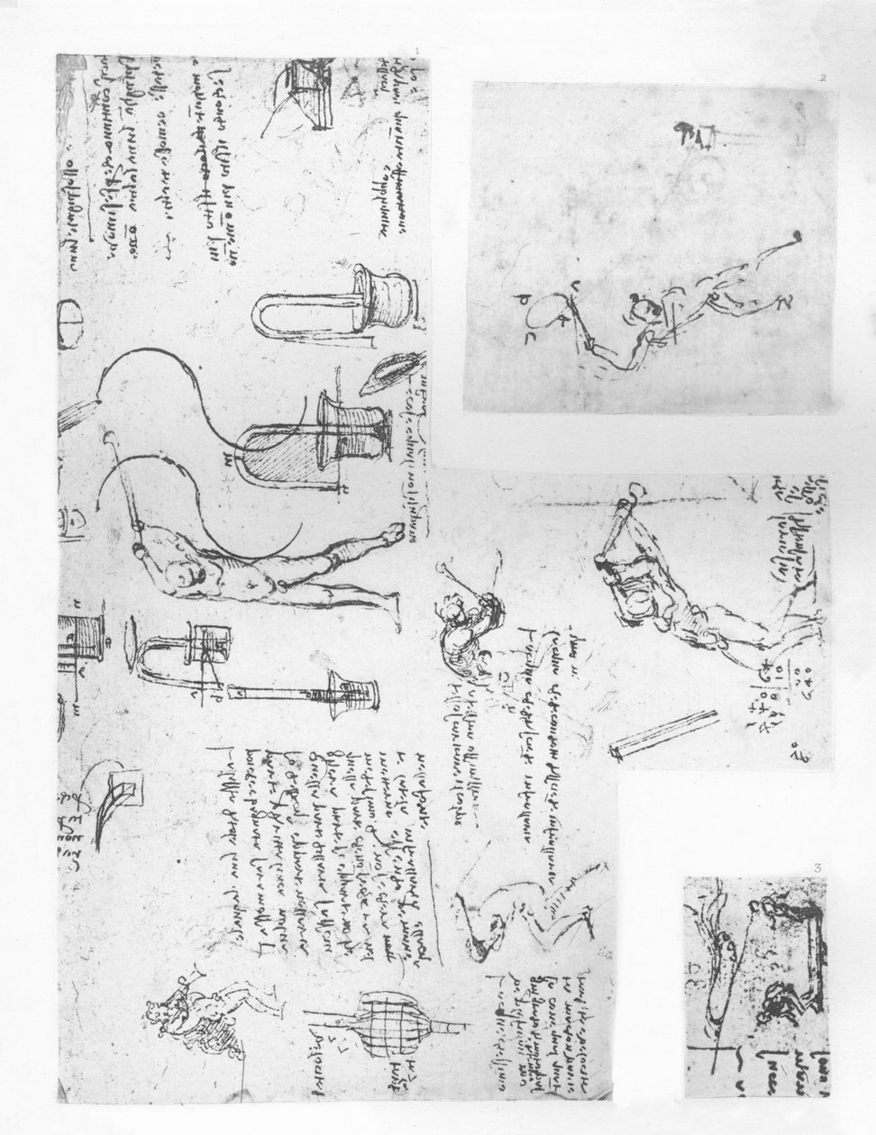 Trzy rysunki ilustrujące teorię ruchów postaci ludzkiej, c1472-c1519 1883 autorstwa Leonardo da Vinci