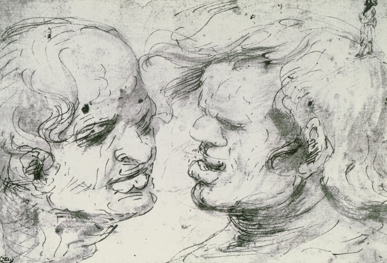 Dwie głowy (pióro i atrament na papierze) autorstwa Leonardo da Vinci