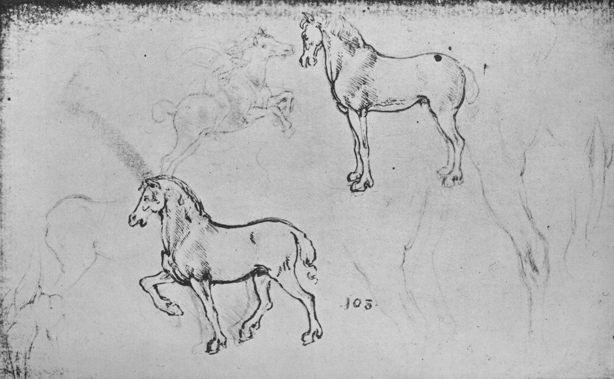 Dwa badania koni, jedno o galopującym jeźdźcu i inne o końskich nogach, ok. 1480 1945 r autorstwa Leonardo da Vinci