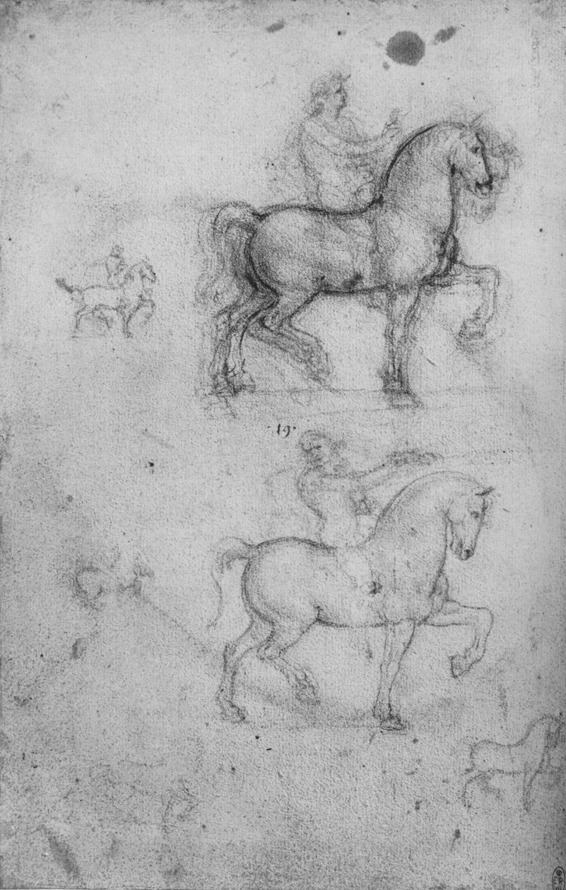 Dwa badania koni i jeźdźców oraz mniejsze badania koni, ok. 1480 1945 r autorstwa Leonardo da Vinci
