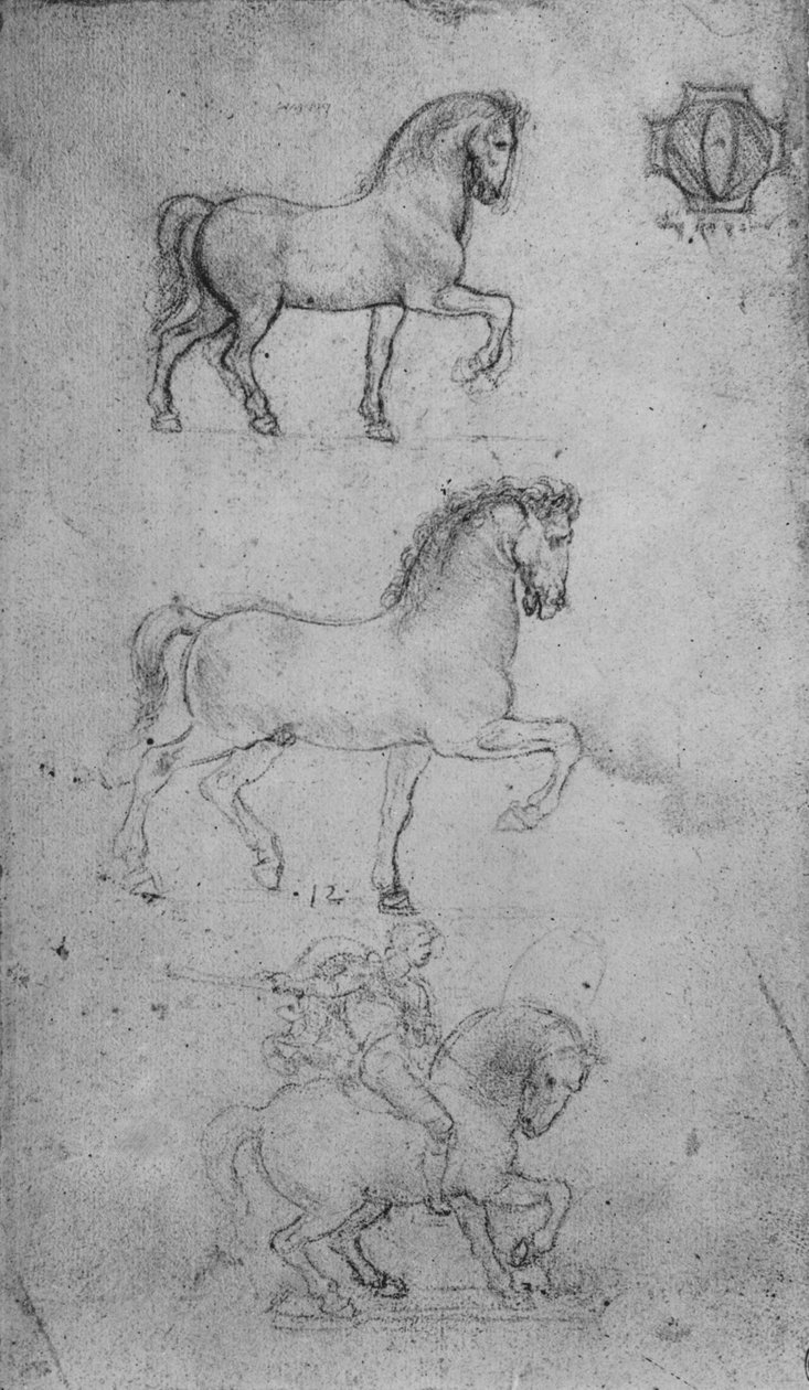 Dwa Studia Konia i jedno Konia i Jeźdźca, ok. 1480 1945 autorstwa Leonardo da Vinci