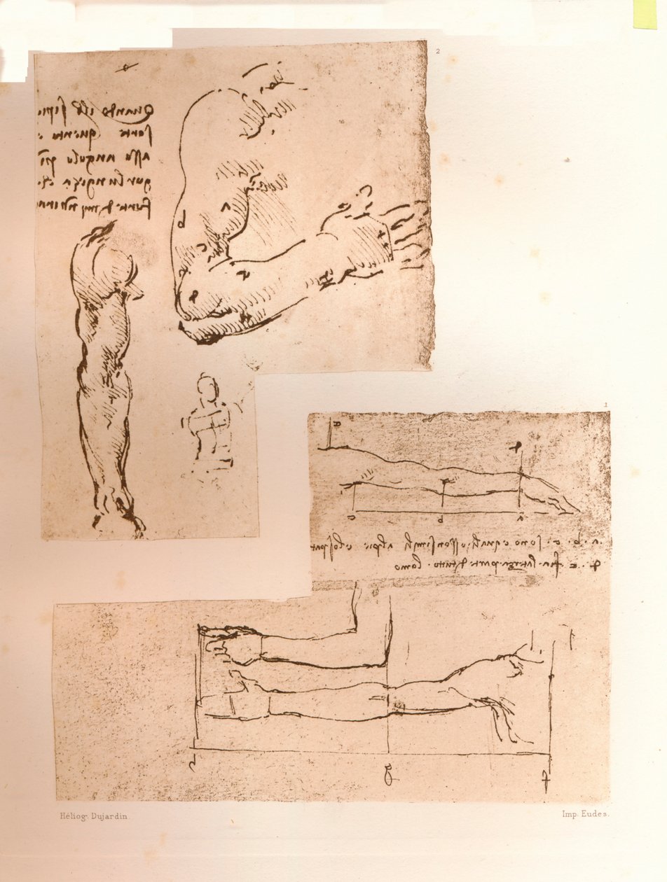 Dwa rysunki ilustrujące teorię proporcji postaci ludzkiej, c1472-c1519 1883 autorstwa Leonardo da Vinci
